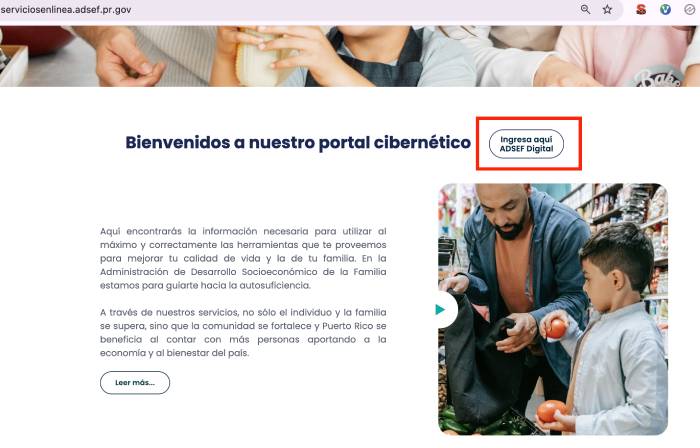 ingresar a ADSEF Digital para formularios adsef