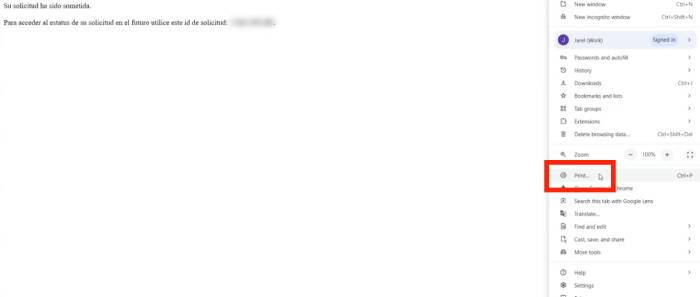 imprimir la solicitud de registro de cuenta bancaria en SURI Hacienda